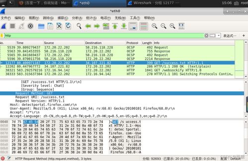 網(wǎng)絡(luò)嗅探技術(shù)在信息安全實(shí)驗(yàn)中的應(yīng)用與軟件開(kāi)發(fā)實(shí)踐